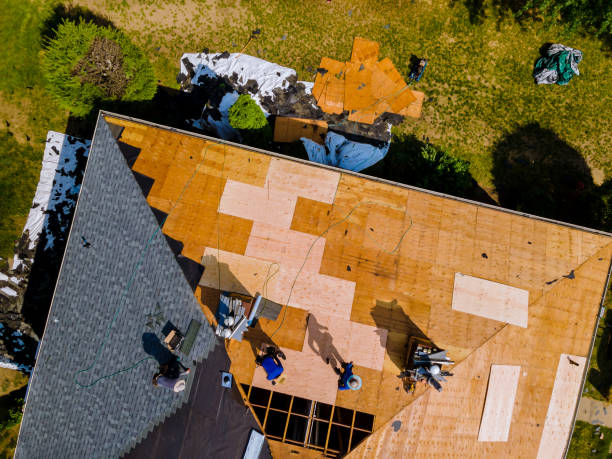 Best Emergency Roof Repair  in Sloan, IA