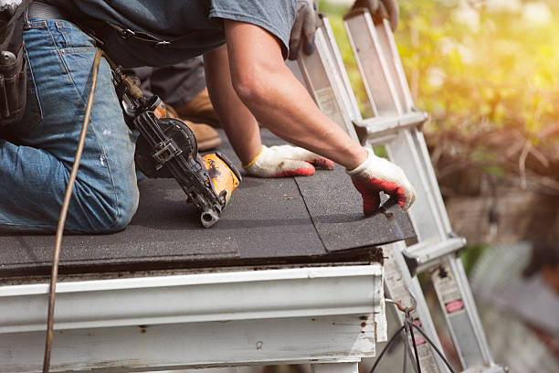 Best Roof Gutter Cleaning  in Sloan, IA